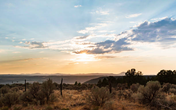 istock Sunset golden desert landscape 1481569318