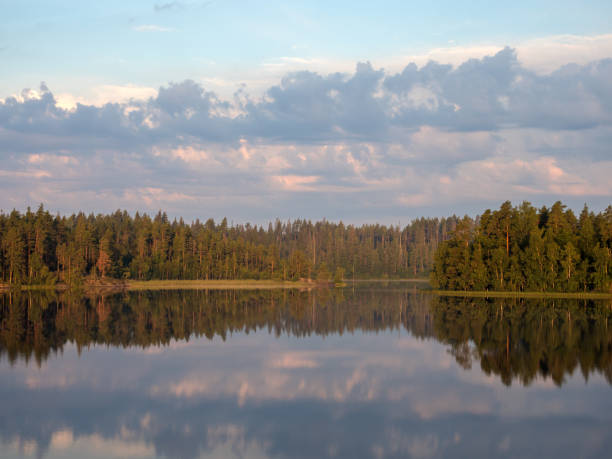 istock landscape with reflections on a forest lake 1481569506