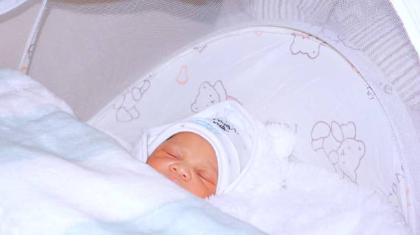istock Newborn  baby in deep sleep covered in blankets 1481570952