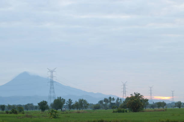 istock View of the expanse of rice fields, aceh 1481571793