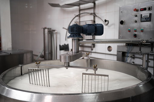 Traditional cheese making at a creamery, milk in a large stainless steel tanks. Copy space