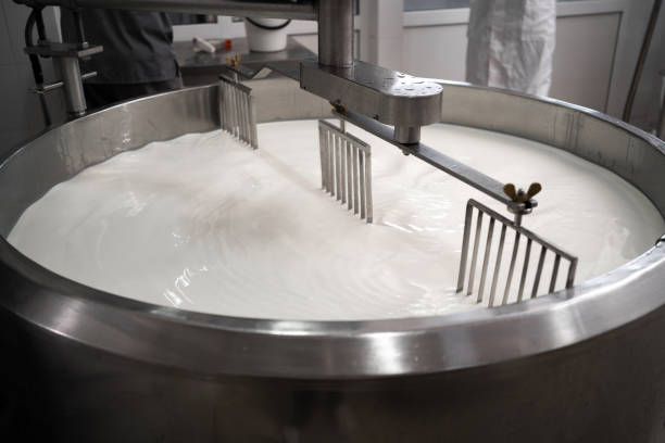 processo di produzione di prodotti lattiero-caseari in una moderna fabbrica di latticini. preparazione del latte per il formaggio, pastorizzazione in grandi serbatoi. - stabilimento caseario foto e immagini stock
