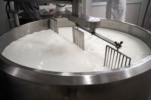 Process of making dairy products in modern dairy factory. Preparing milk for cheese, pasteurization in large tanks. Copy space
