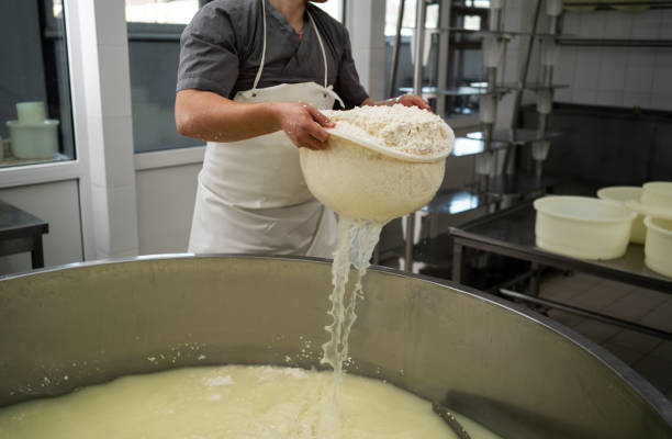 istock Concept of cheese production process. Draining the whey through sieve. 1481575947
