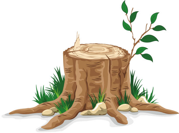 木の切り株 - tree stump点のイラスト素材／クリップアート素材／マンガ素材／アイコン素材