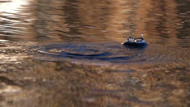 Thaw. Melting of ice. A Falling Drop of Water