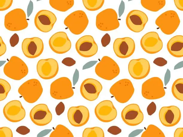 Vector illustration of Seamless Apricot Fruit with leaves pattern, hand drawn doodle fruit sketch. Repeated Vector Food template for menu, wallpaper, wrapping, packing, textile, scrapbooking. Whole fruit and cut half, seed.