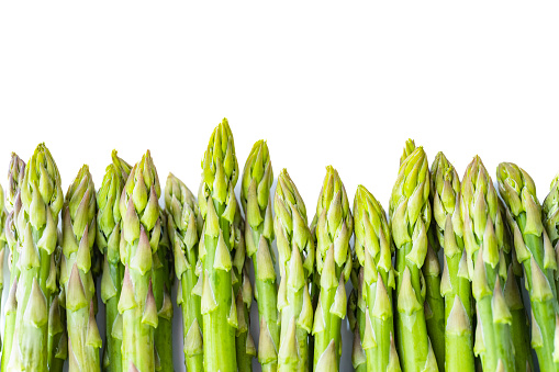 Fresh Organic Asparagus on a White Background