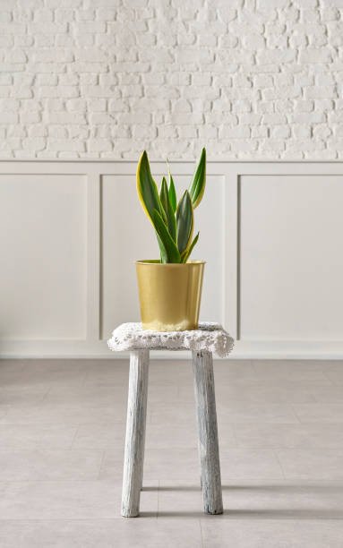 istock White brick wall and flower on wooden stool. 1481588099