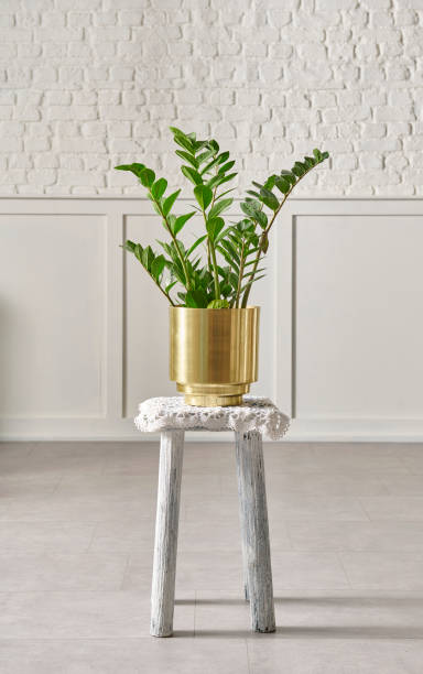 istock White brick wall and flower on wooden stool. 1481588181