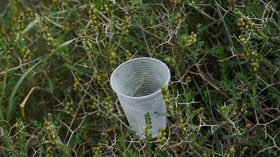 Empty disposable plastic cup on the grass. Plastic waste pollution concept.
