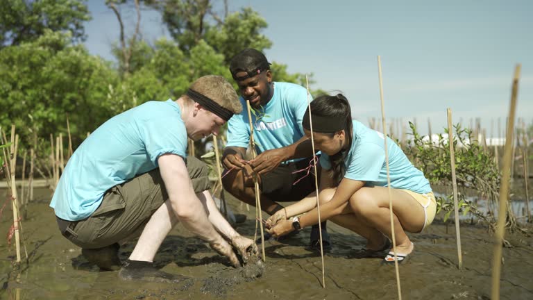 Multiracial Volunteers Planting Young Tree