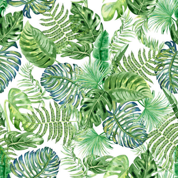 istock Tropical leaves seamless watercolor pattern. Hand drawn illustration of green plant branches isolated on white background. Jungle ornament. Summer print for clothes and wallpaper. Exotic background. 1481592199
