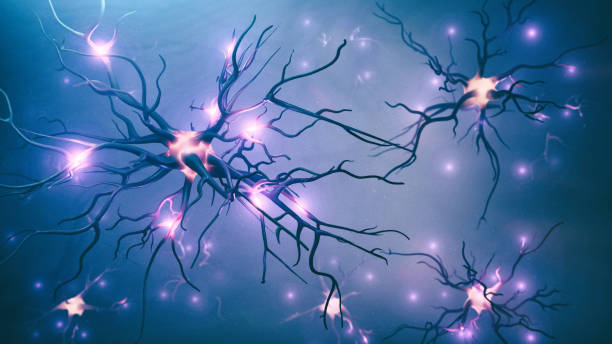 3D image of neural cells stock photo