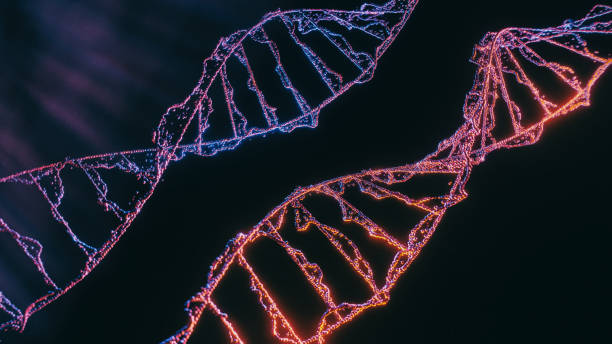 DNA strands on black background stock photo