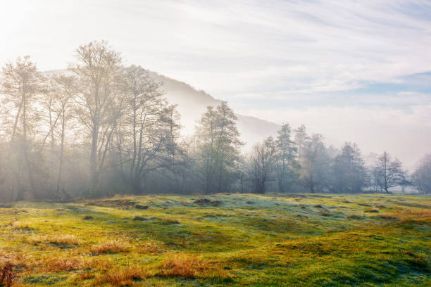 countryside landscape on a misty sunrise