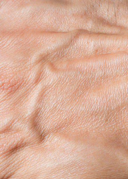 macro pelle della mano umana, macro struttura della mano umana, la trama della pelle di una mano umana. - human skin female wrinkled women foto e immagini stock