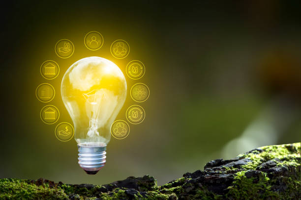 istock Renewable energy concept Earth Day or environment protection Hands protect forests that grow on the ground and help save the world. 1481605202