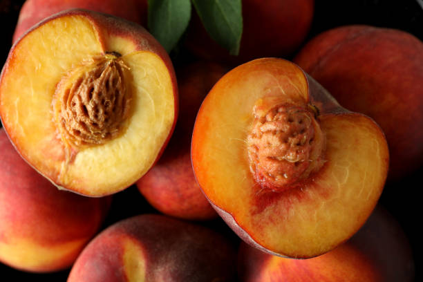 istock Ripe peach fruits, close up and selective focus 1481606444
