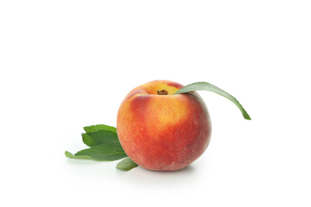 istock Ripe peach fruit isolated on white background 1481607365