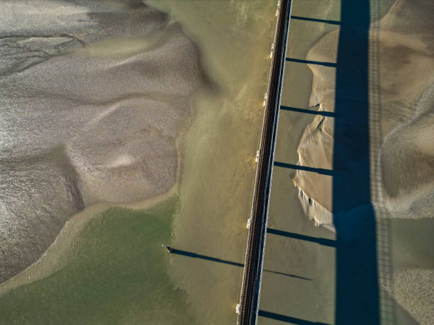istock Tidal wetlands at low tide 1481608282