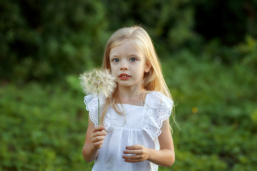 lovely girl with blond hair blowing on a big dandelion. Allergy free concept