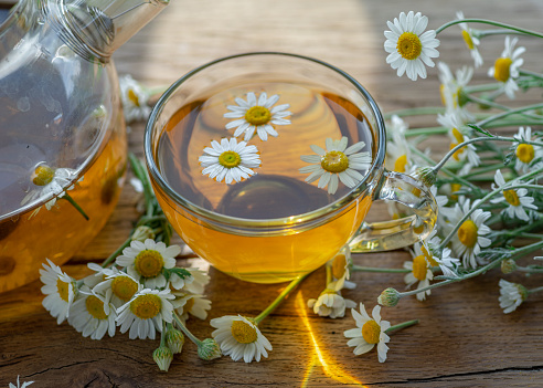 Herbal chamomile tea and chamomile flowers on wooden table. Top view.