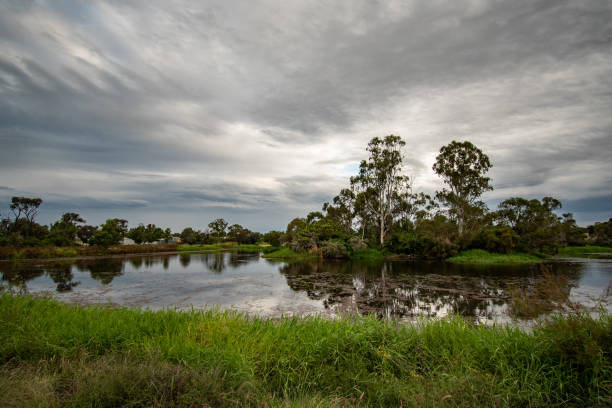 istock Lake in the wetlands 1481609113