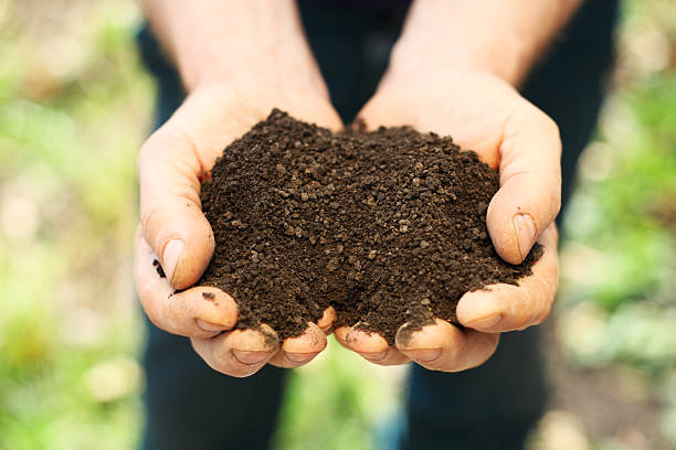 istock Image of soil in hands. Grow up your idea 148161141