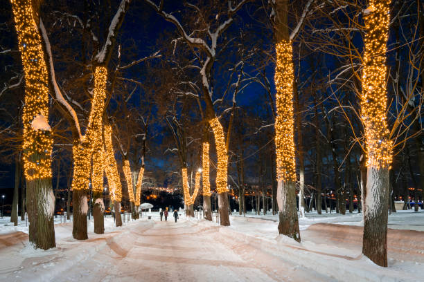 istock Winter park at night with christmas decorations, lights, pavement covered with snow and trees. 1481614366