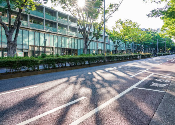 omotesando zelkova árboles brillando en el sol de la mañana de primavera (shibuya-ku, tokio) - omotesando hills fotografías e imágenes de stock