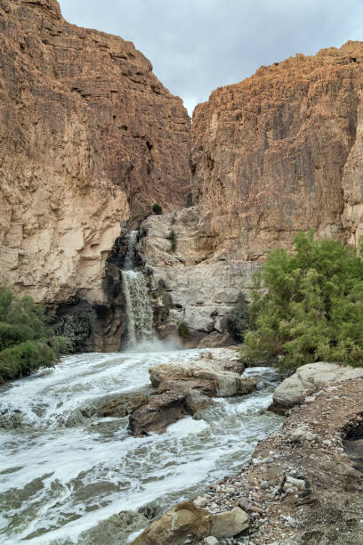 istock The Judean Desert 1481618863