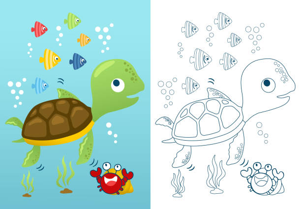 Vector illustration of cartoon funny marine animals. Coloring book or page for kids This illustration suitable for your business purpose or personal use. The illustration is vector-based. They are fully editable and scalable without losing resolution hermit crab stock illustrations