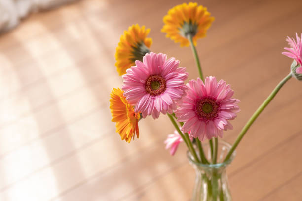 flowers in a vase