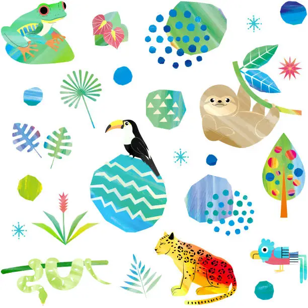 Vector illustration of Animals of the rainforest.
Illustration material in a watercolor style. Transparent background.