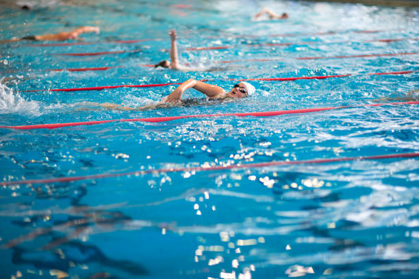 istock Swimmers in an indoor swimming pool - doing crawl (shallow DOF) 1481626858