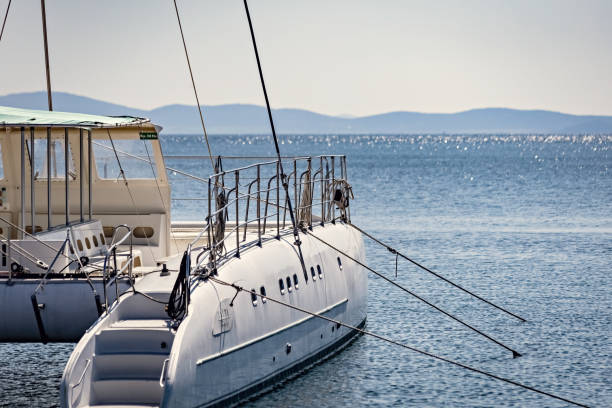 istock Catamaran on the water side view 1481630530