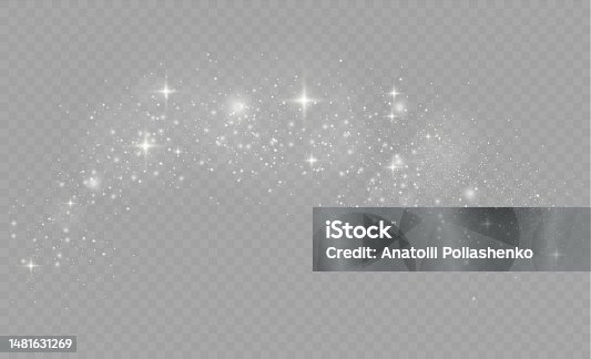 istock Sparkling magical dust particles. 1481631269