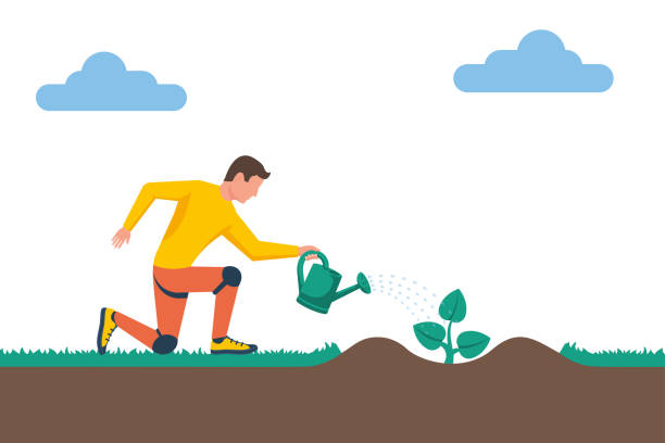 Gardener with watering can hold in hand. Planting tree. Vector flat. Gardener with watering can hold in hand. Planting tree. Process planting concept. Gardening, agriculture, caring for environment. Vector illustration flat design. Young sapling. young green plant seedling growing in a soil flat vector stock illustrations