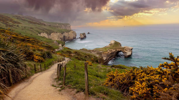 la vue du paysage avec un ciel rayonnant de soleil scenic of tunnel beach, dunedin, île du sud de la nouvelle-zélande - green sky water wave photos et images de collection