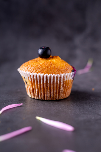 One imperfect blueberry muffin on a black background