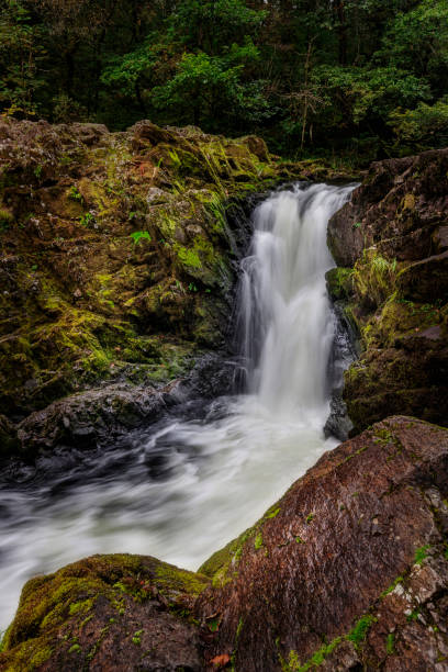 istock Collwith Force waterfall near Skelwith Bridge, Lakes District, England 1481634552
