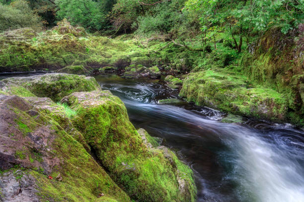 istock Next to Collwith Force waterfall near Skelwith Bridge, Lakes District, England 1481634804
