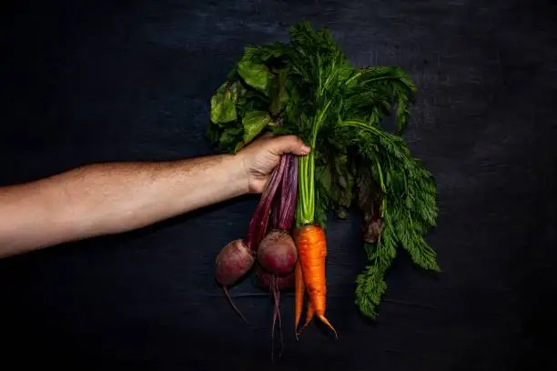 A male adult is presenting a selection of freshly harvested vegetables including carrots with their leaves, on a black bsckground