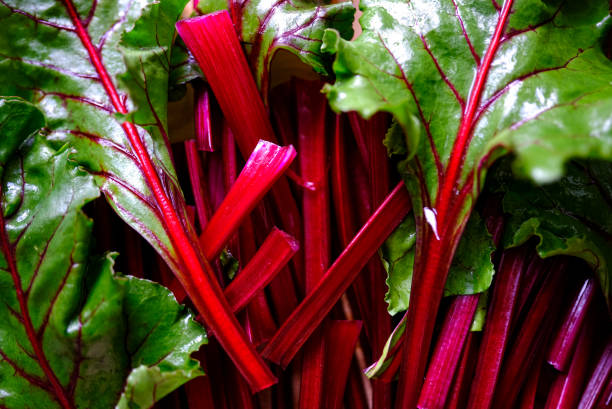 istock Fresh raw beet greens ready for cooking. Healthy eating. 1481641207