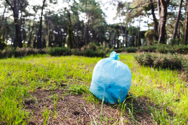 Cleaning polluted forest. Plastic bag full of plastic containers, bottles and garbage