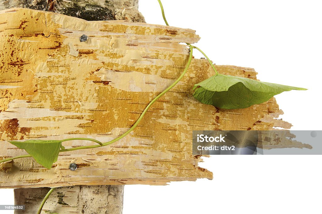 Pintura - Royalty-free Casca de árvore Foto de stock
