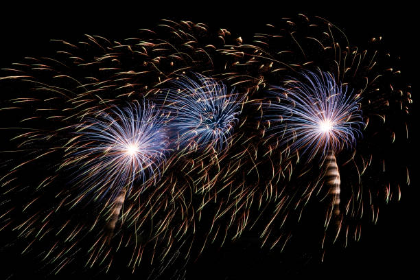 istock Amazing fireworks show in the dark sky. 1481645702