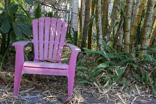 Hot pink plastic lawn chair in front of bamboo trees in lush garden