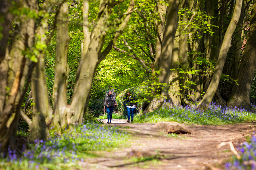 A mother and her daughter walking along a footpath on Golden Cap, on the West Dorset Jurassic coast, UK